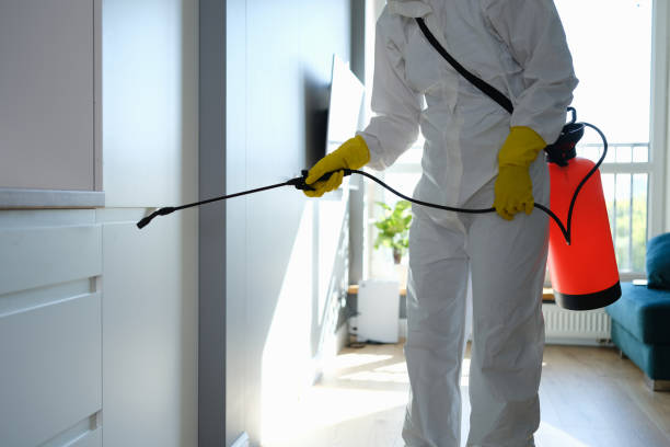 Home Mold Removal in Secaucus, NJ